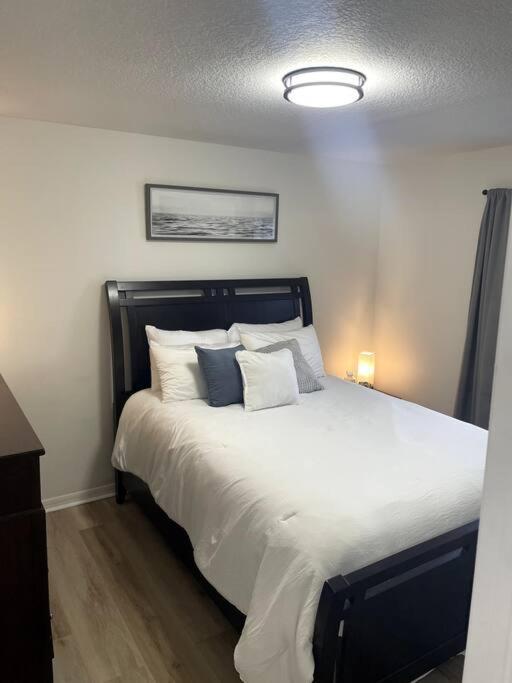 Riverside Riviera At Seminole Heights 坦帕 外观 照片